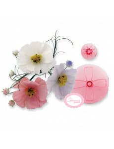 Cortador Flor Cosmos